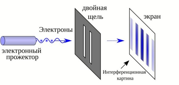 Все, везде и сразу. Квантовые объекты и движение по всем траекториям