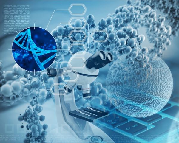 Биологи впервые построили карты пространственной организации генома E.Coli c ультравысоким разрешением