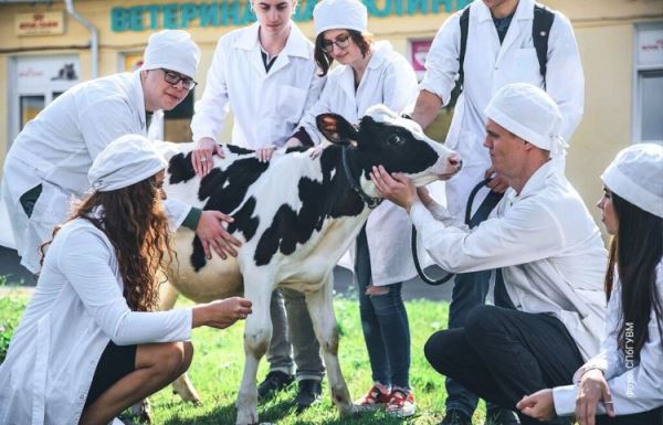 Молоко и мясо для всей России. Прорыв российского животноводства