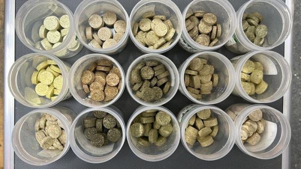 От отходов к энергии: сорняки как источник биотоплива