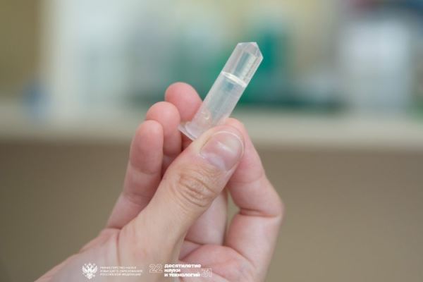 Белковые гидрогели с бактериофагами быстрее и лучше вылечат раны